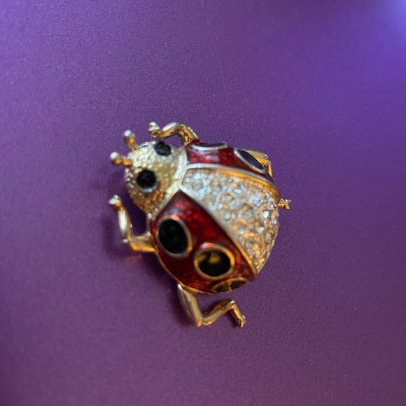 Jewelry - Ladybug Pin